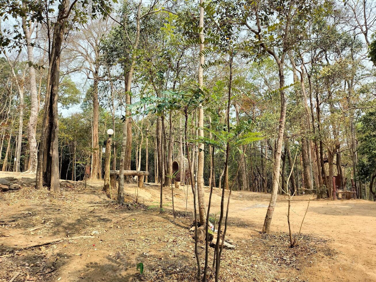 landscape view of Tham Pha Nam Thip Non-hunting Area at Roi Et province, Thailand photo