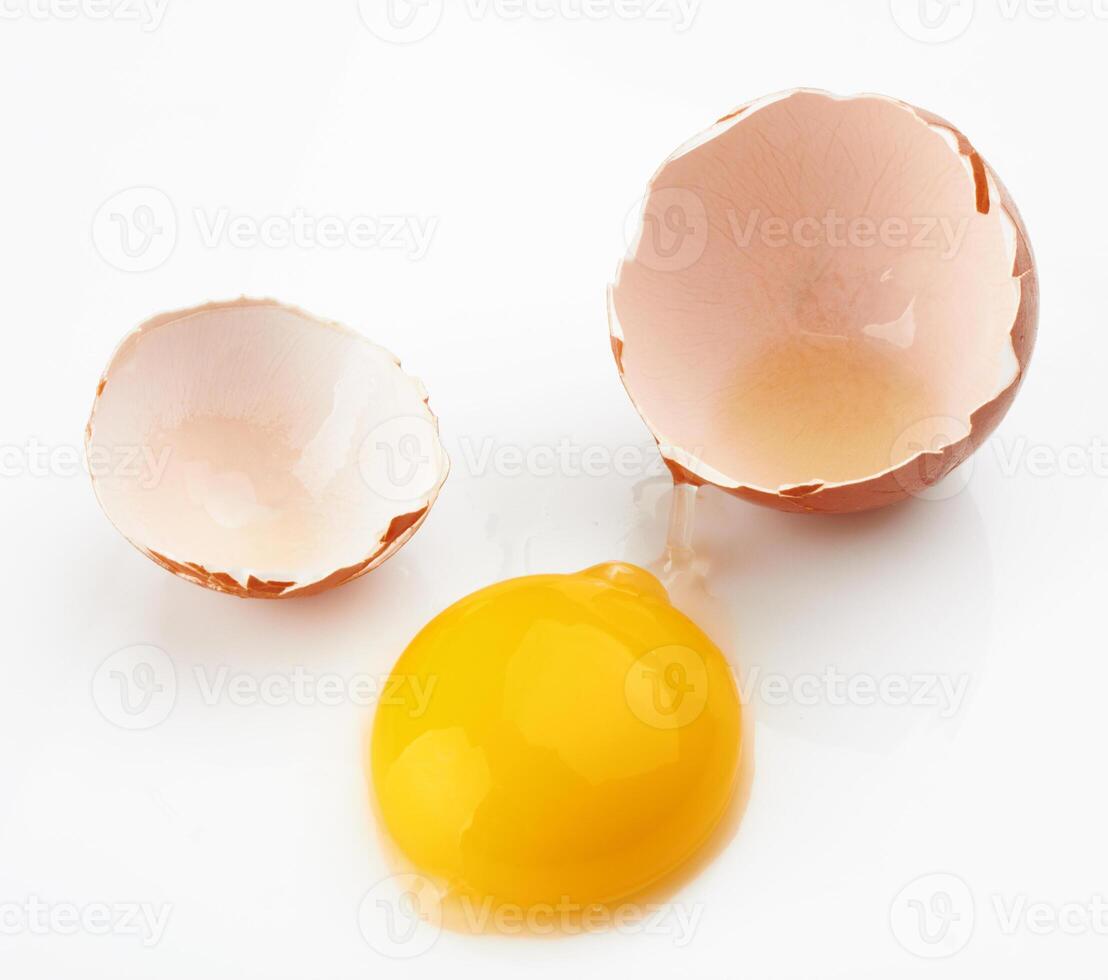 egg on white photo