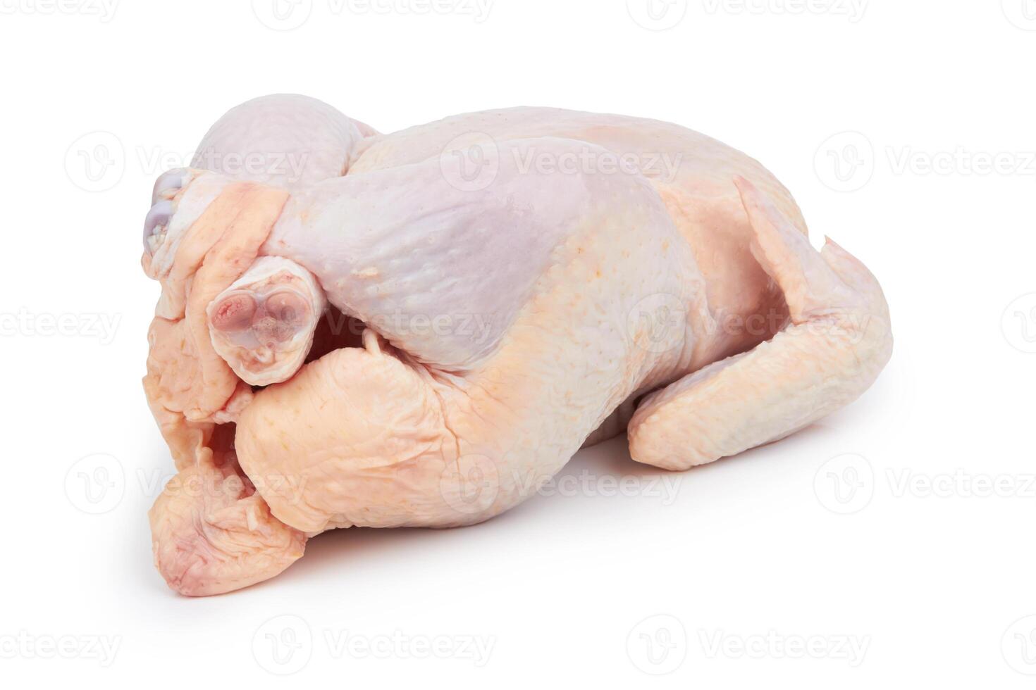 Raw fresh chicken photo