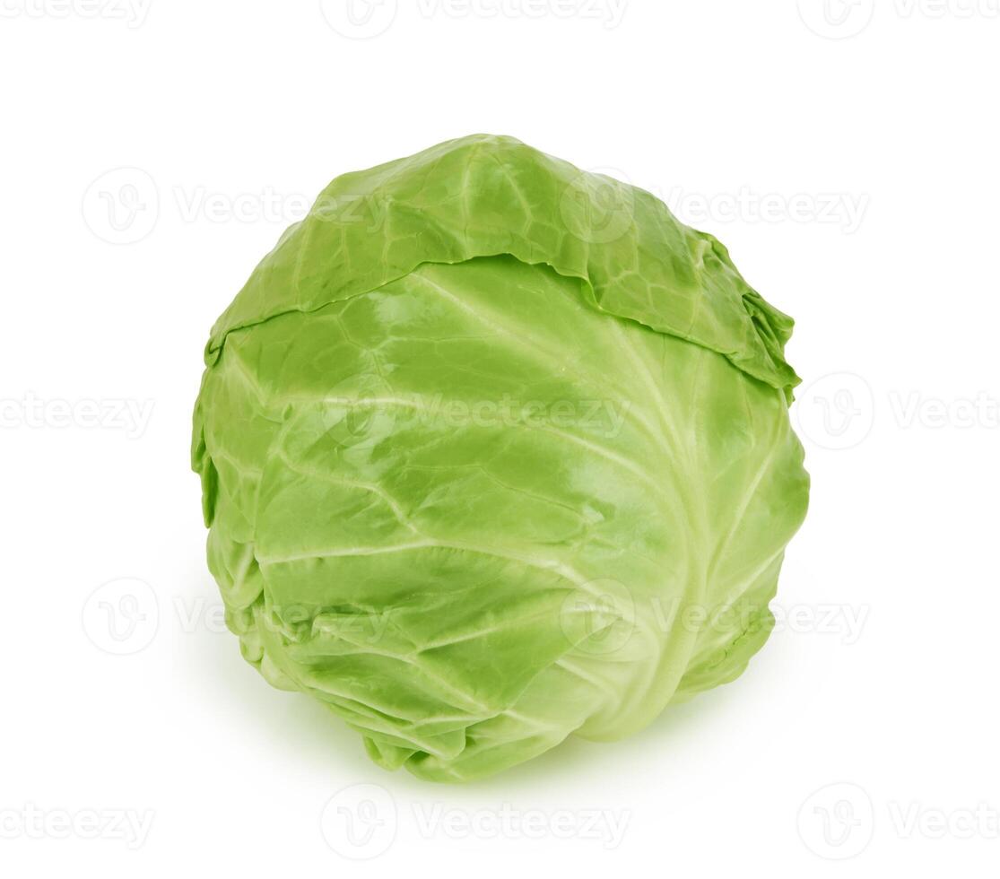 green cabbage on white photo