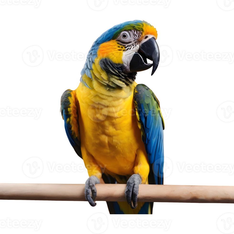 AI generated Photo of a blue and yellow parrot isolated png