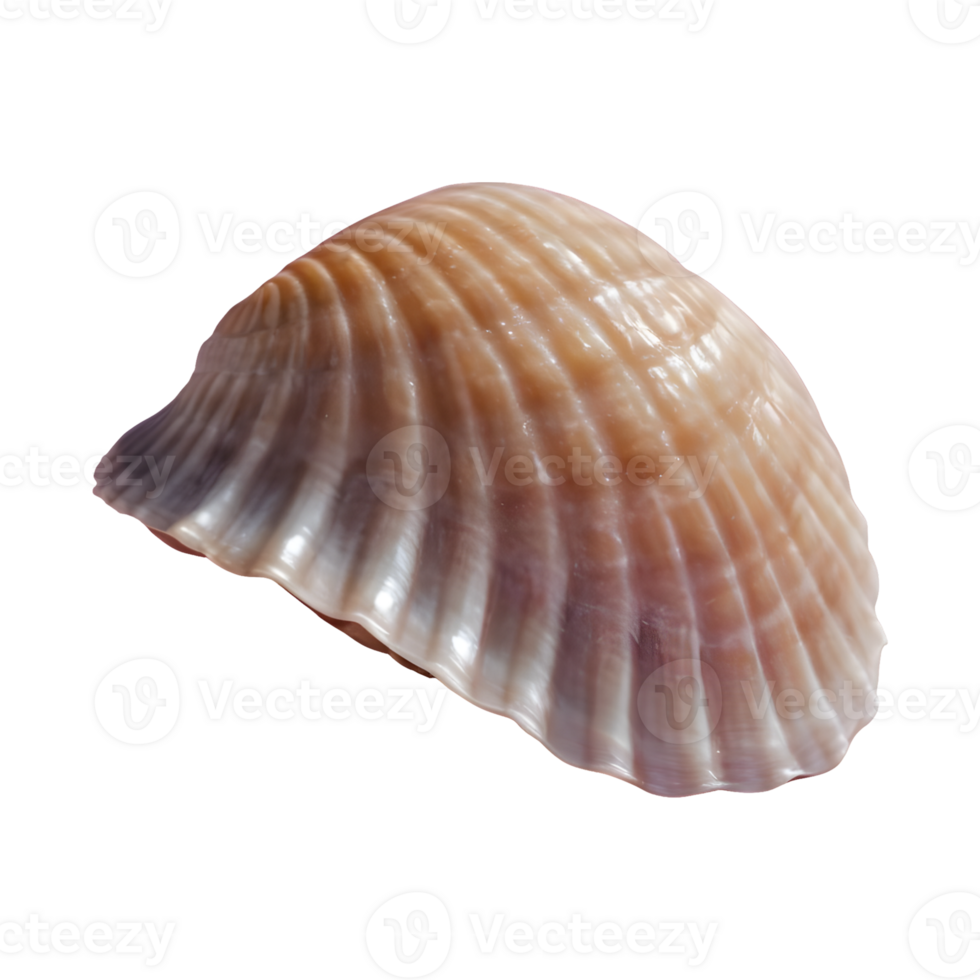 AI generated Macro shot of a transparent background showcasing an unusual seashell isolated png
