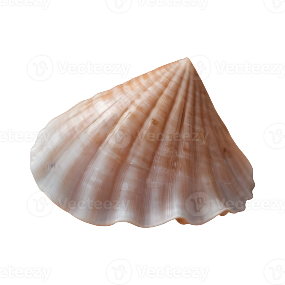 AI generated Macro shot of a transparent background showcasing an unusual seashell isolated png