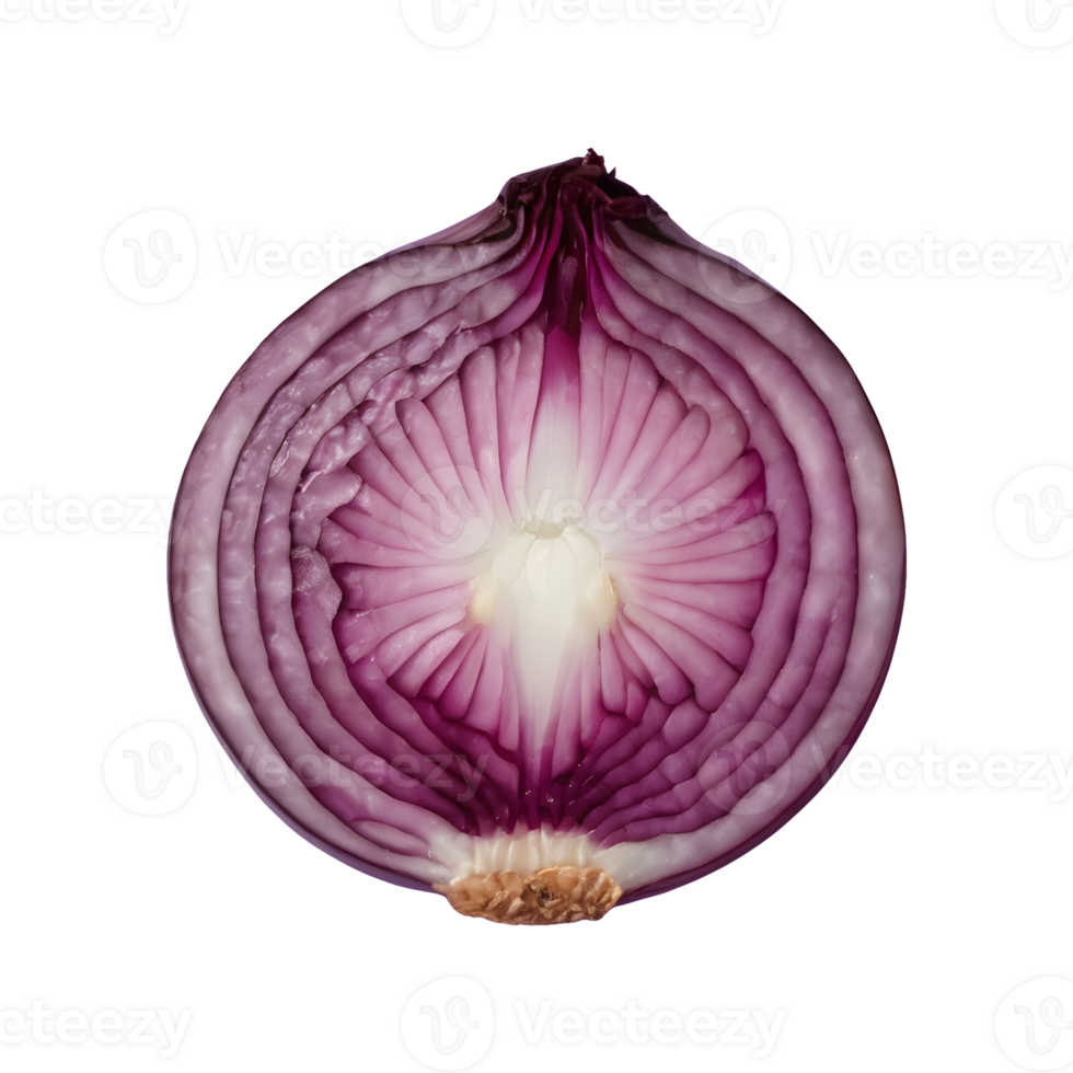 AI generated Top view of isolated red onion slice on transparent background png