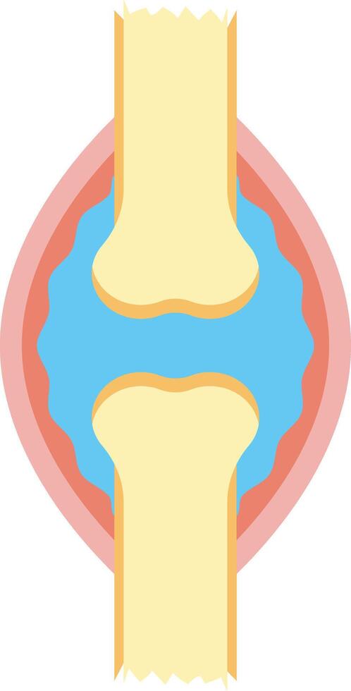 Human Knee Structure. Simple Diagram Illustration vector