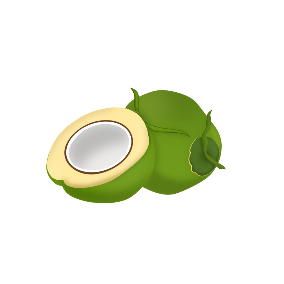 Coconut Slice  and full png