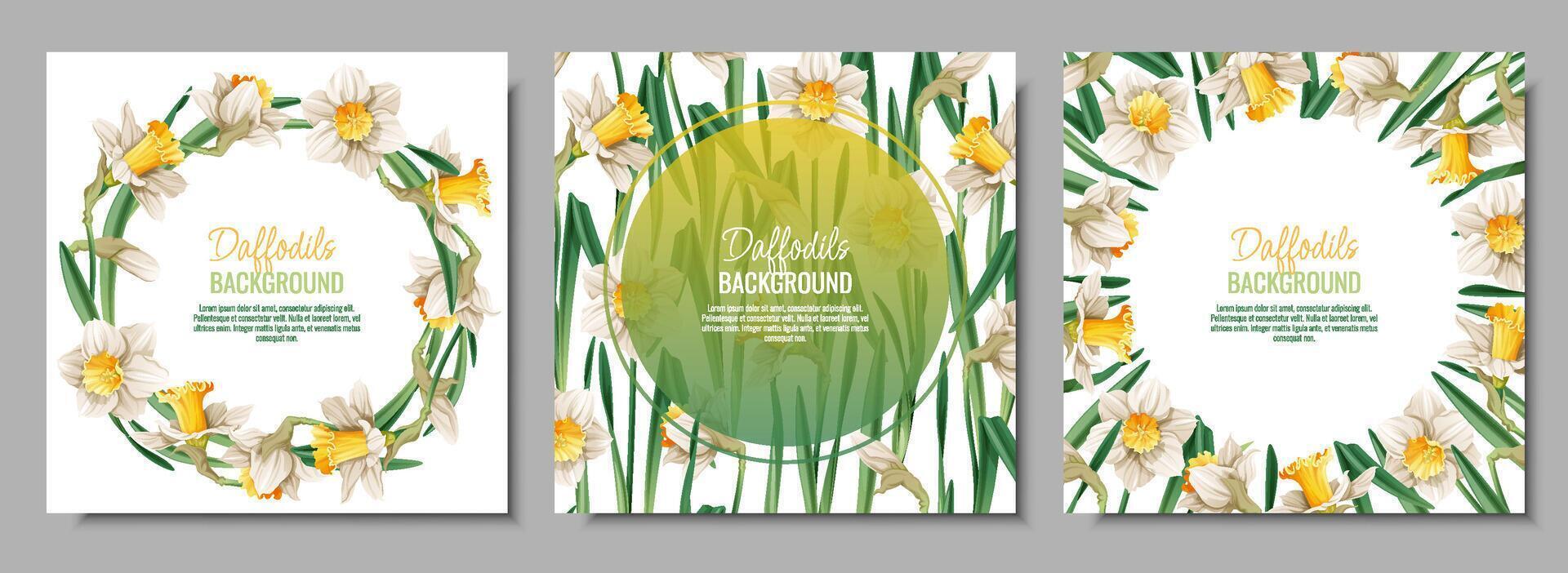conjunto de primavera antecedentes con narcisos tarjeta postal, bandera para Pascua de Resurrección. primavera tiempo. marco con delicado primavera flores vector