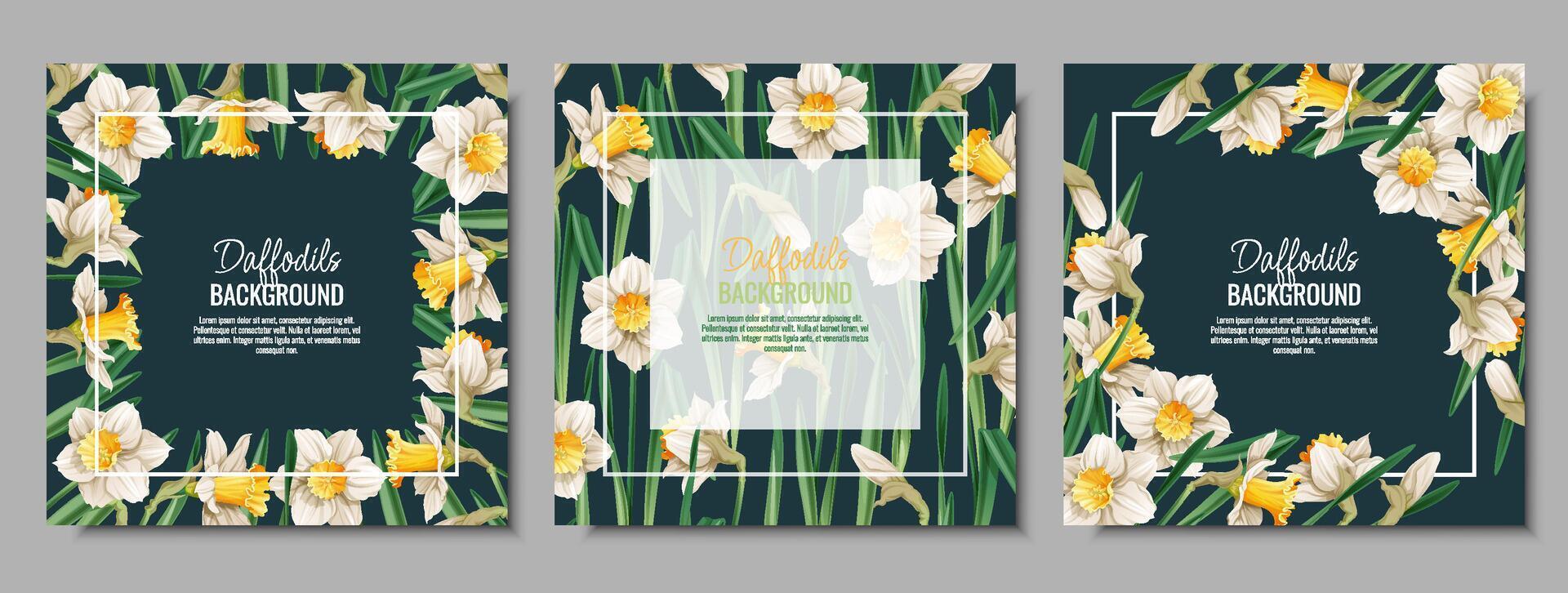 Set of Spring background with daffodils. Postcard, banner for Easter. Spring time. Frame with delicate spring flowers. vector