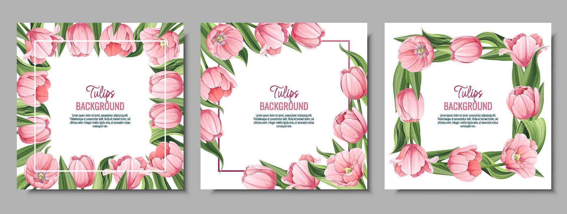 conjunto de saludo tarjeta, bandera con rosado tulipanes primavera antecedentes para internacional mujer s día, marzo 8. marco con delicado primavera flores vector