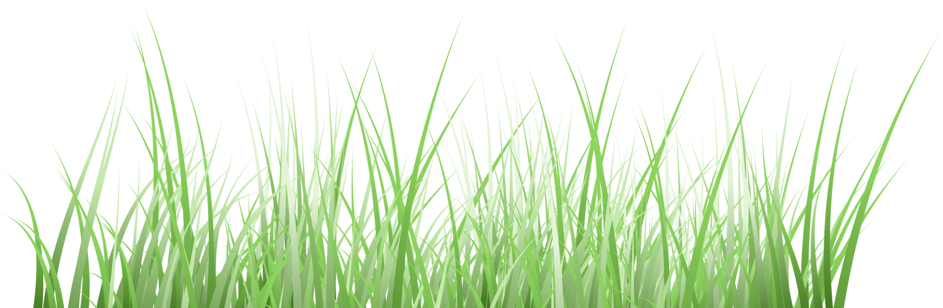 grass transparent background png