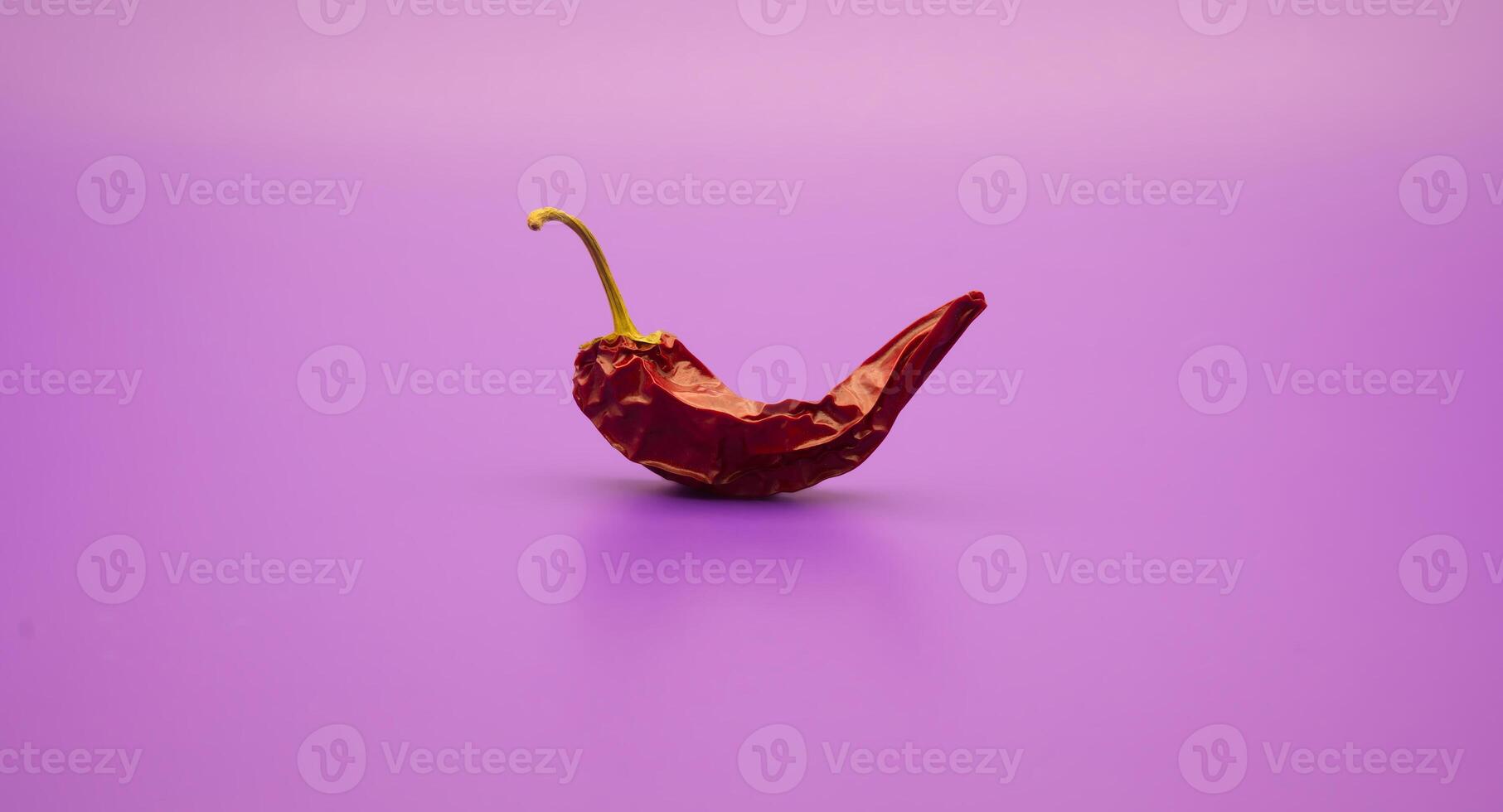 Dried red chili peppers against a vivid lilac background photo