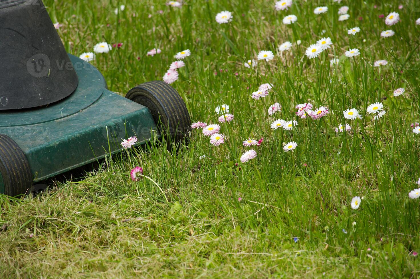 Seasons and yard maintenance concept with lawn mower photo