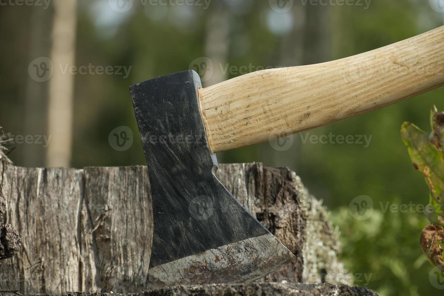 Hatchet or axe stuck in a tree stump against forest photo