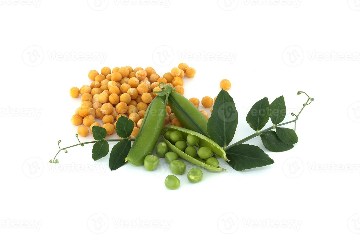 Yellow dried peas and fresh green peas and pea pods photo