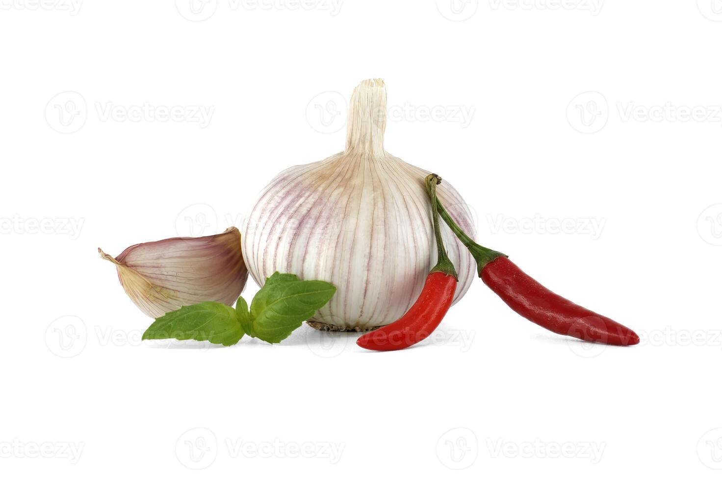Common culinary ingredients herbs and spices on white photo