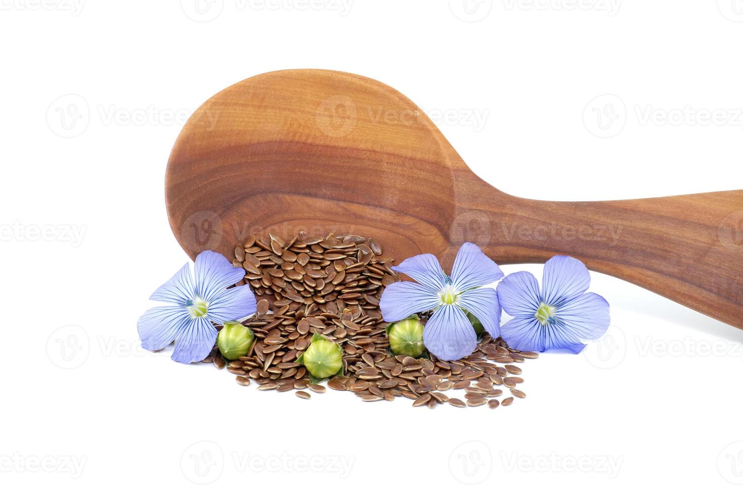 Flax linseed flower and seeds on white background photo