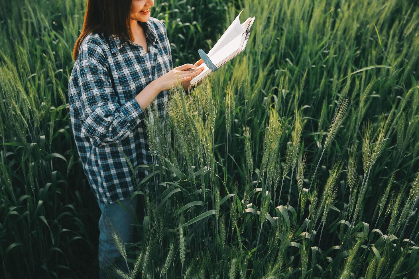 Smart farm. Farmer with tablet in the field. Agriculture, gardening or ecology concept. Harvesting. Agro business. photo