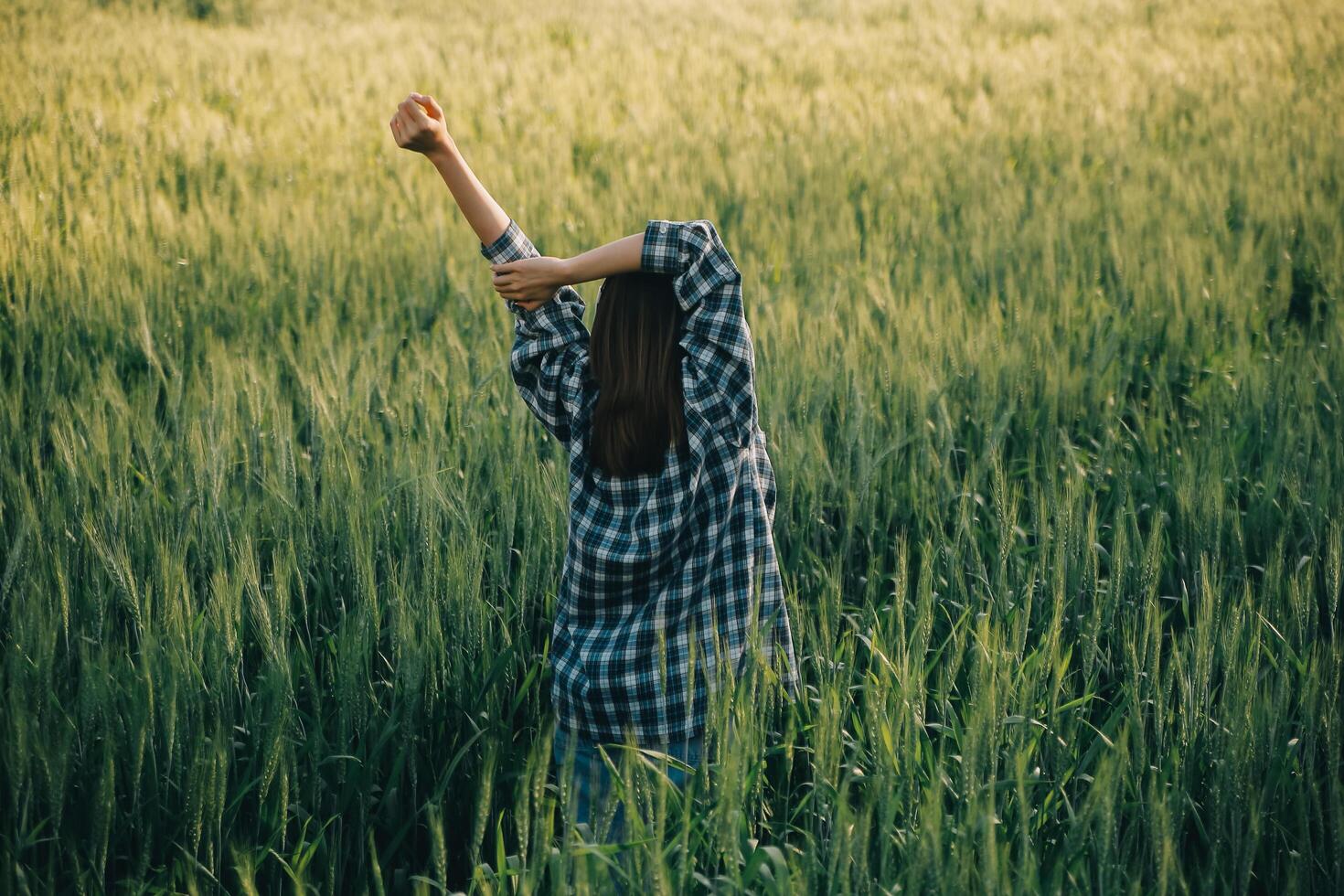 Young pretty woman in red summer dress and straw hat walking on yellow farm field with ripe golden wheat enjoying warm evening. photo