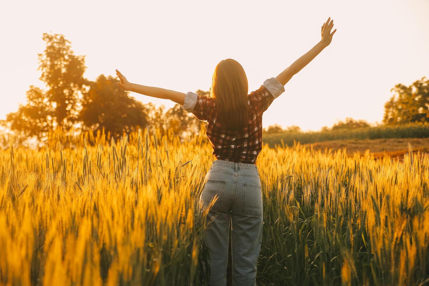 Young pretty woman in red summer dress and straw hat walking on yellow farm field with ripe golden wheat enjoying warm evening. photo