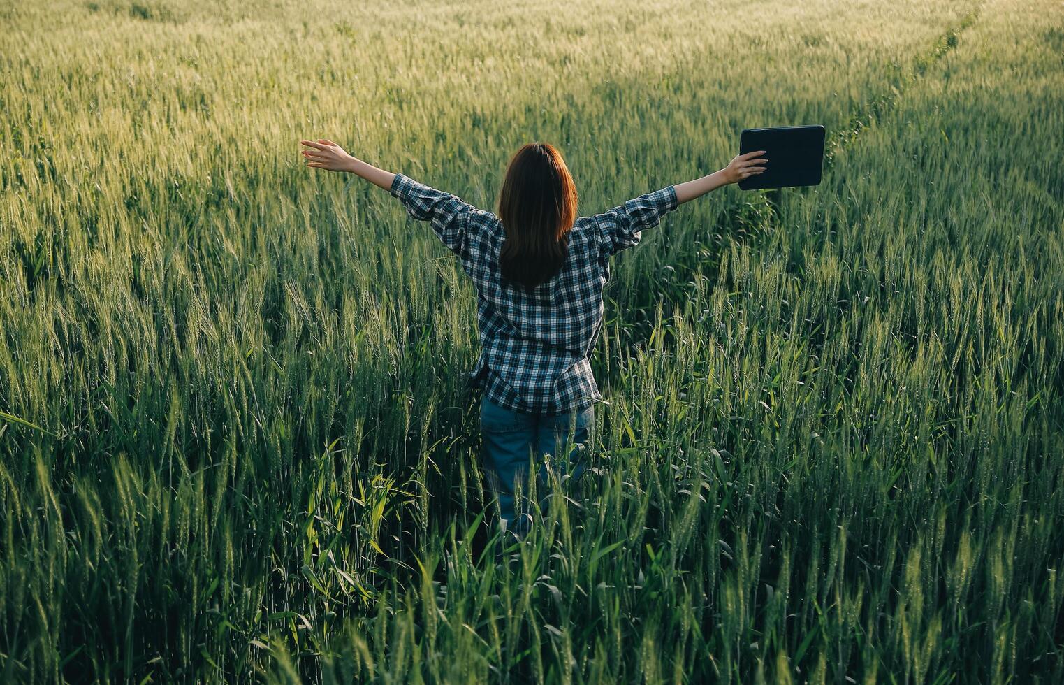 Smart farm. Farmer with tablet in the field. Agriculture, gardening or ecology concept. Harvesting. Agro business. photo