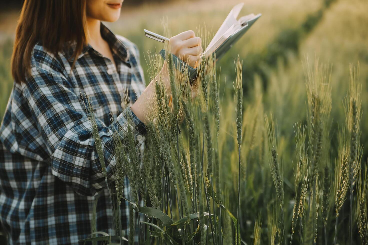 Smart farm. Farmer with tablet in the field. Agriculture, gardening or ecology concept. Harvesting. Agro business. photo