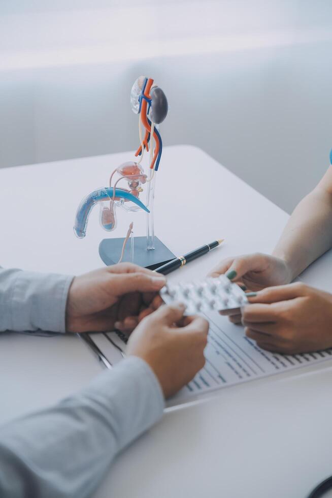 Doctor uses anatomical model to explain male urinary system. Model labeled with parts, doctor points and explains how they work together for urinary function, ensuring patient comprehension. photo