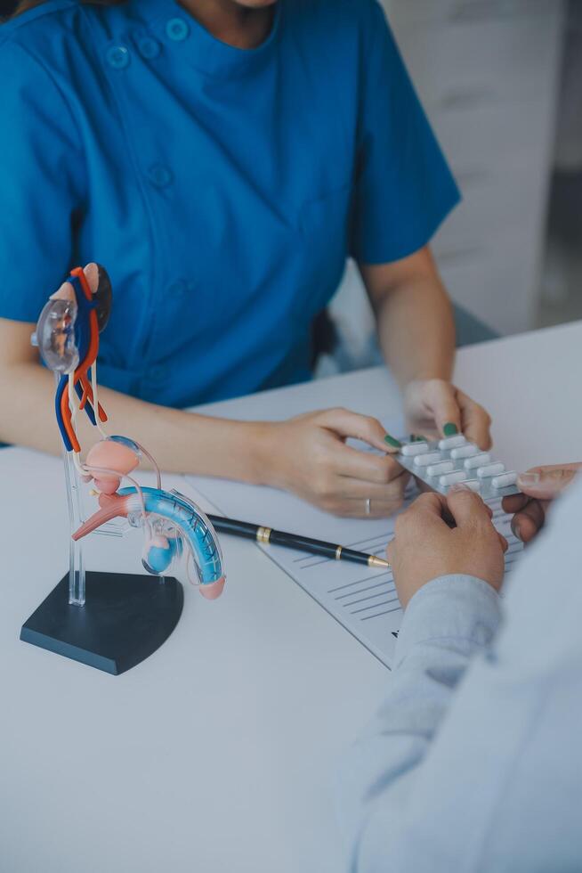 Doctor uses anatomical model to explain male urinary system. Model labeled with parts, doctor points and explains how they work together for urinary function, ensuring patient comprehension. photo