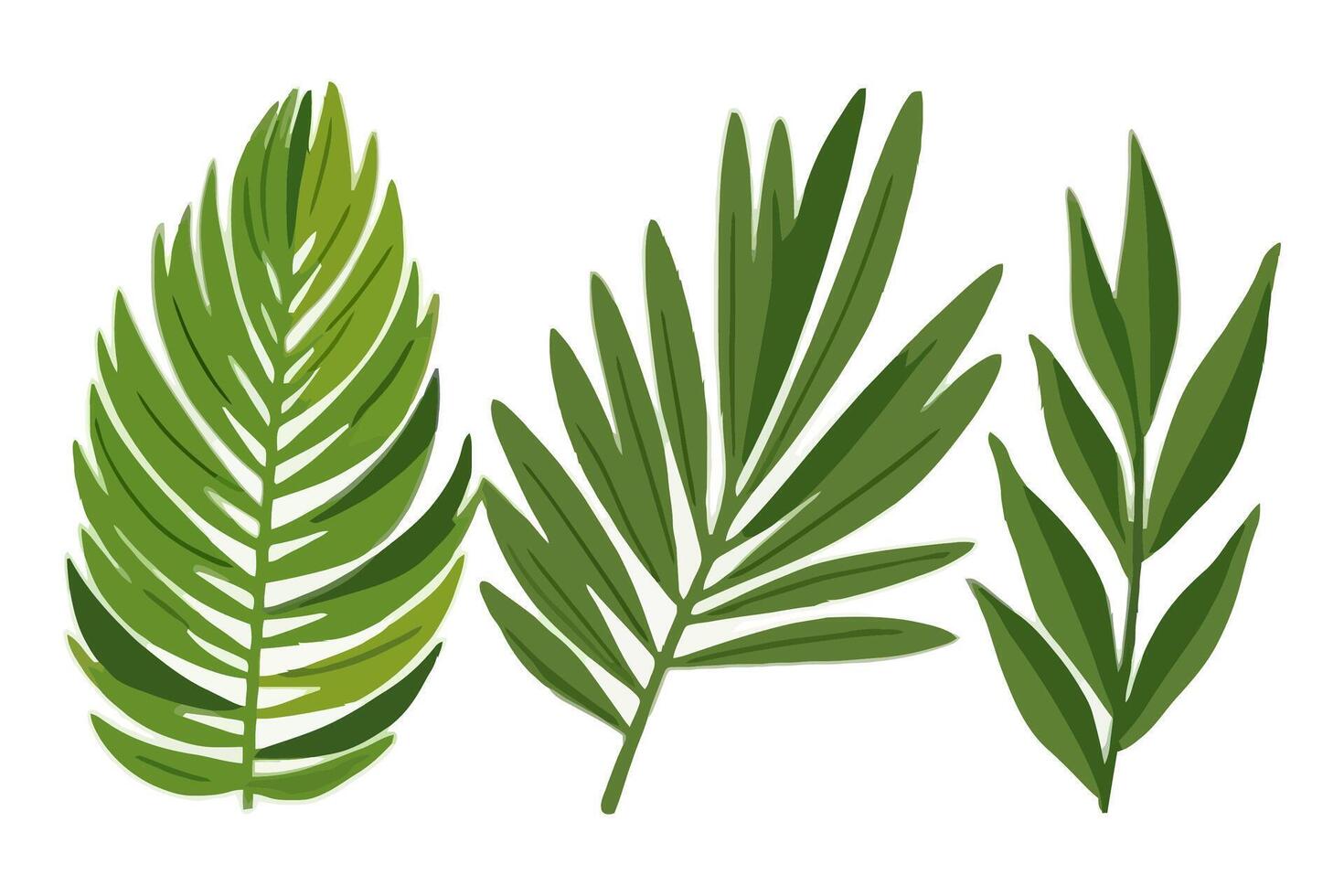 Summer palm leaf vector green plant, exotic nature