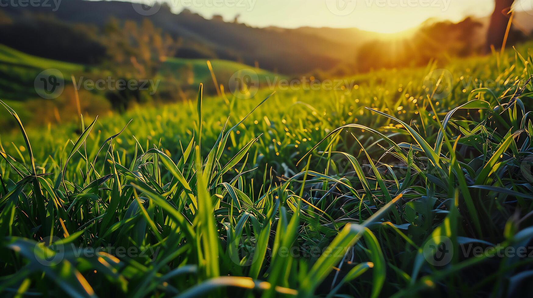 AI generated Dawn light on a lush grassland. Rural nature and sunrise beauty concept. photo