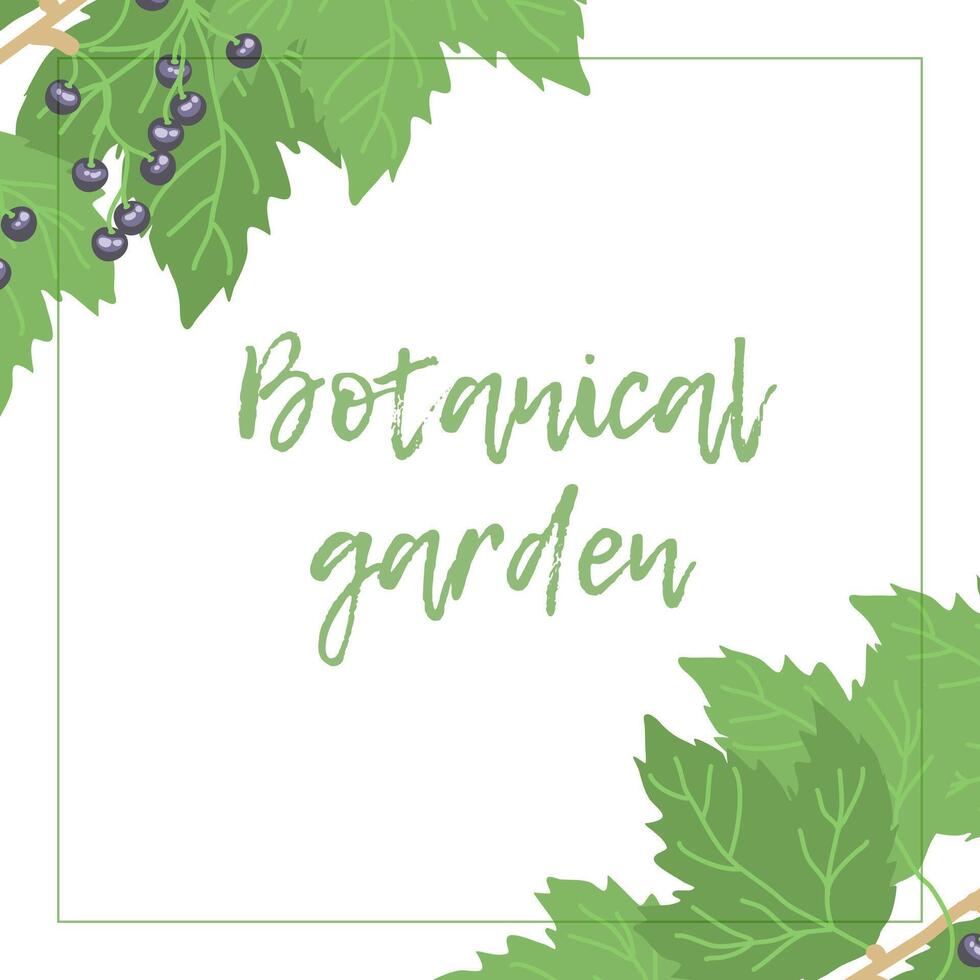 Botanical garden, delicious ripe berries vector