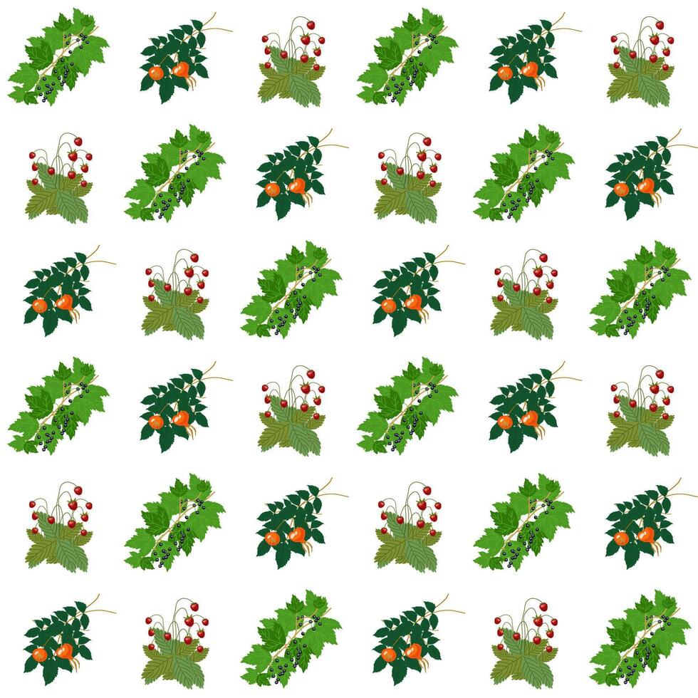 Botanical garden, delicious ripe berries vector