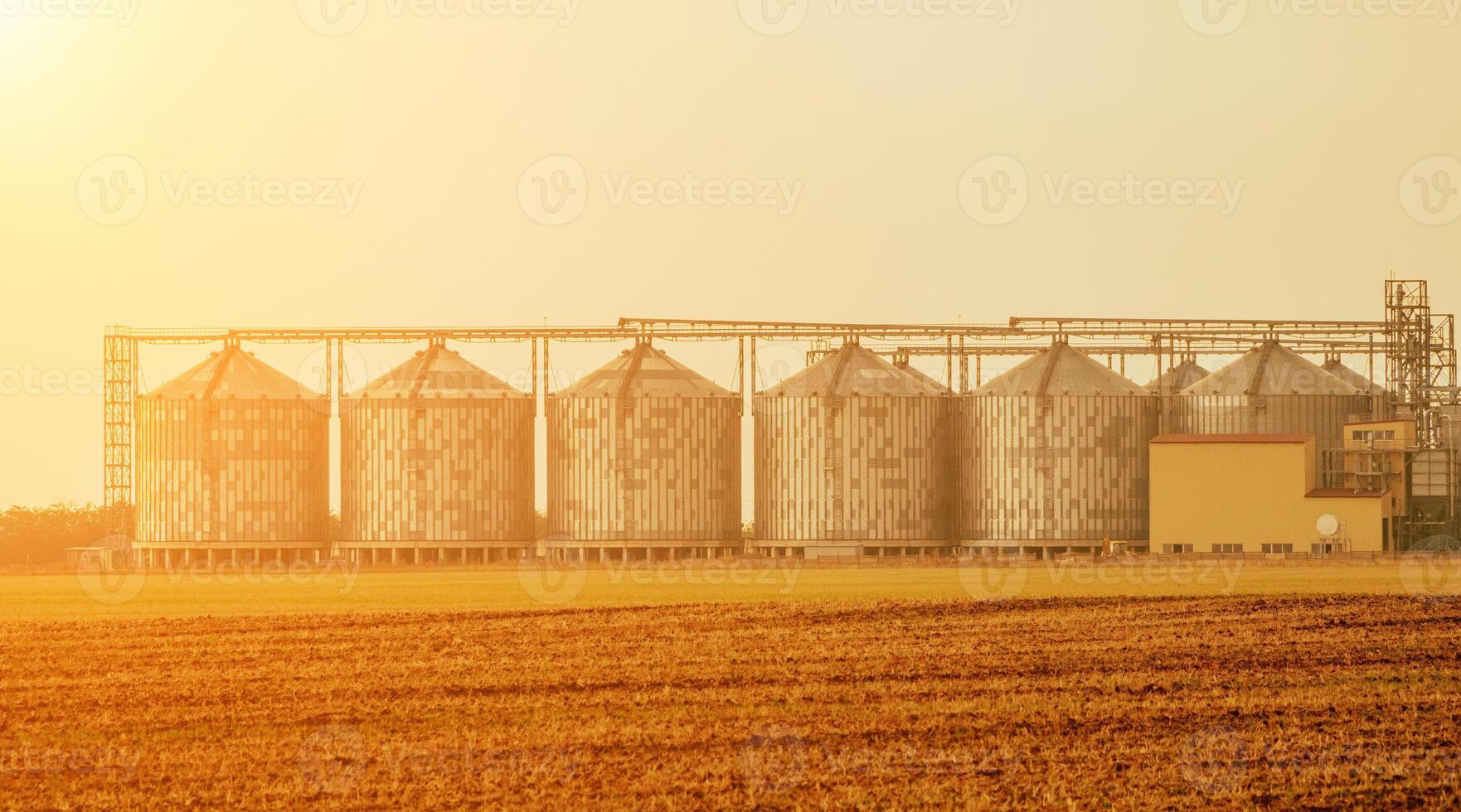 Silos and granary elevator. Modern agro-processing manufacturing plant with grain-drying complex. processing, drying, cleaning, and storing agricultural products in wheat, rye or corn fields photo