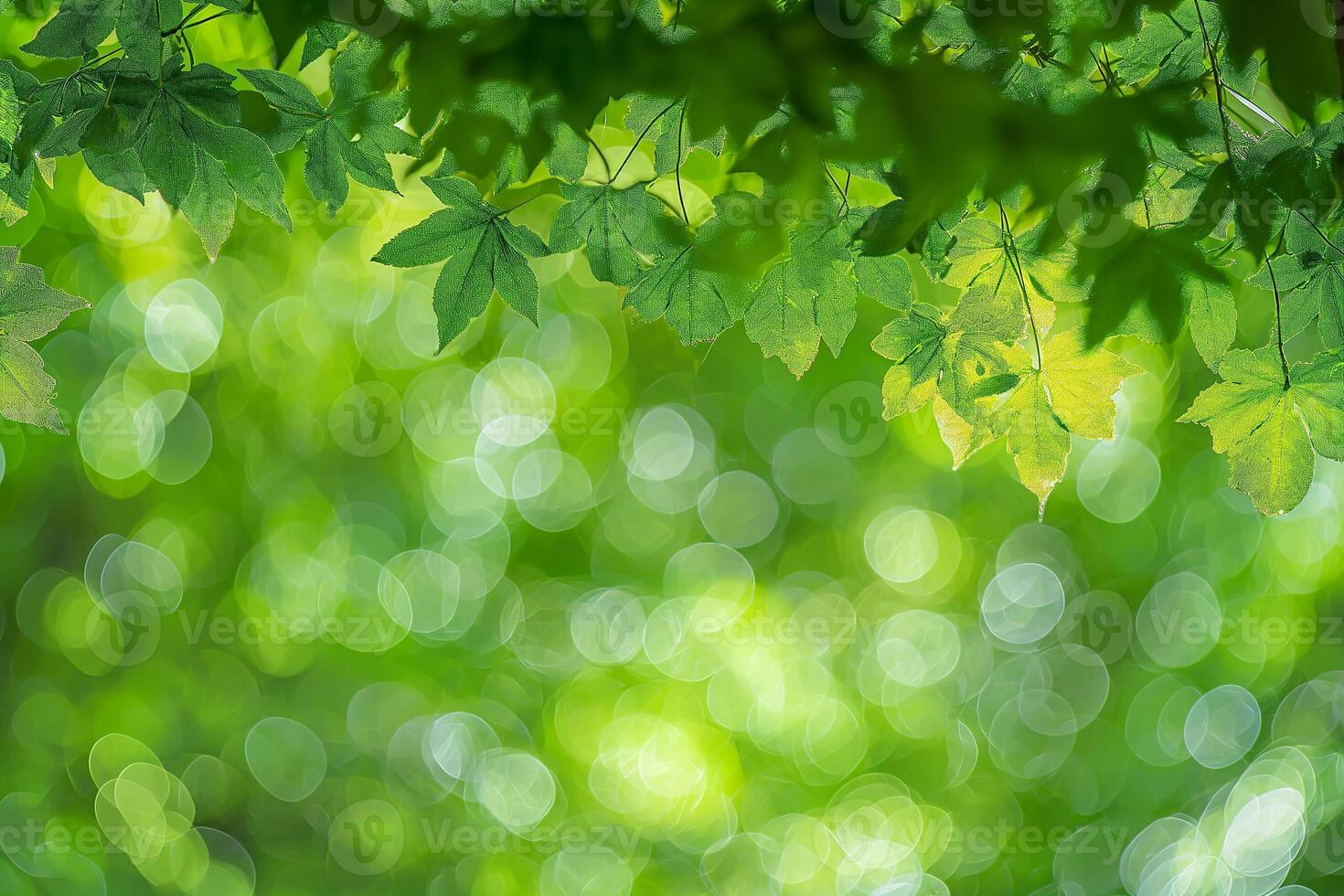 AI generated Lush Greenery with Dappled Sunlight photo