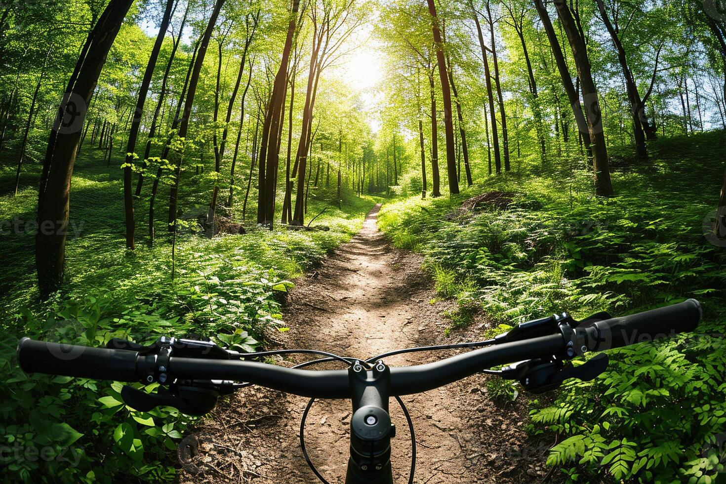 AI generated First-Person View from a Bicycle on a Forest Trail photo