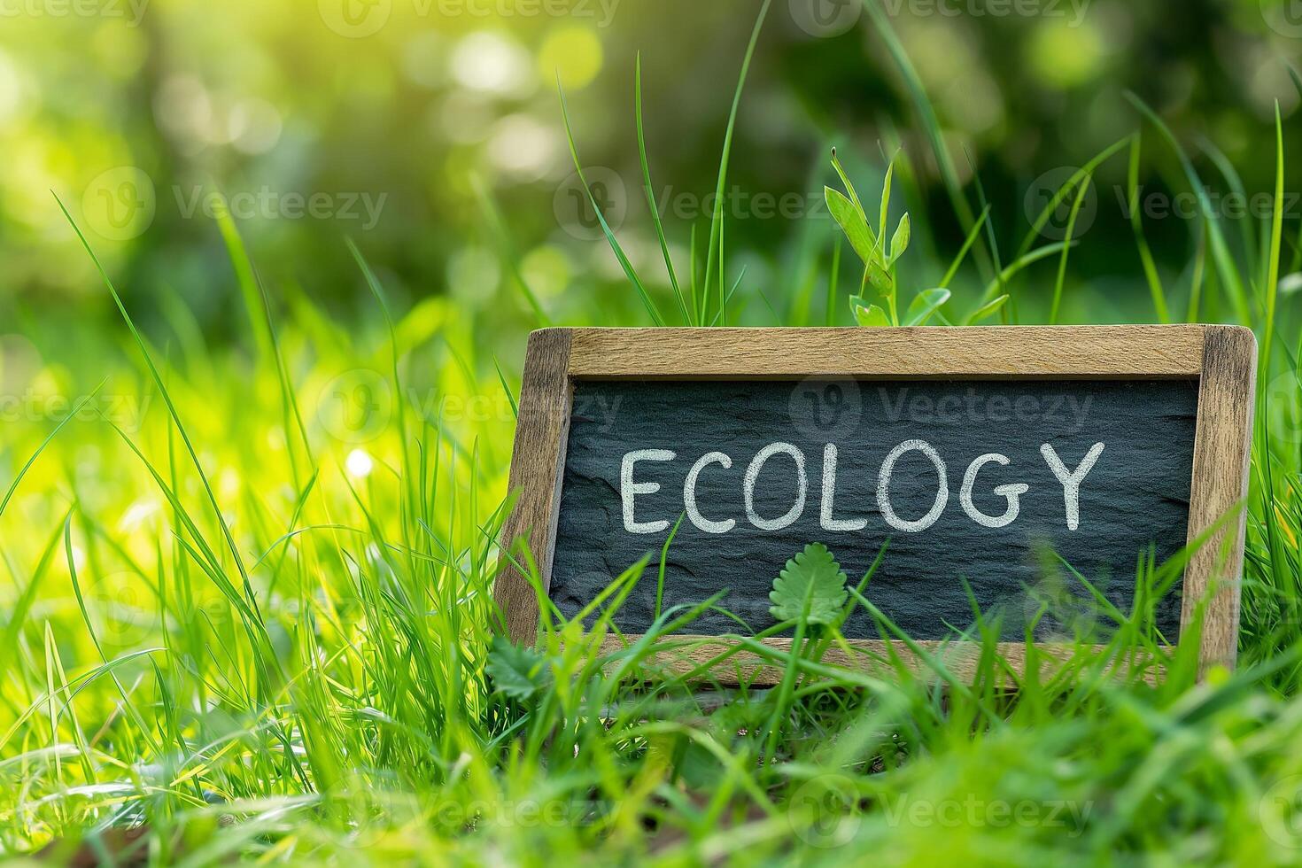 AI generated Inspiring Image of the Word 'ECOLOGY' on a Chalkboard Amidst Lush Greenery photo
