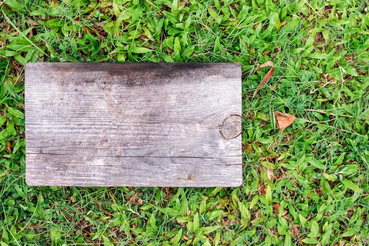 Empty wooden board on grass photo