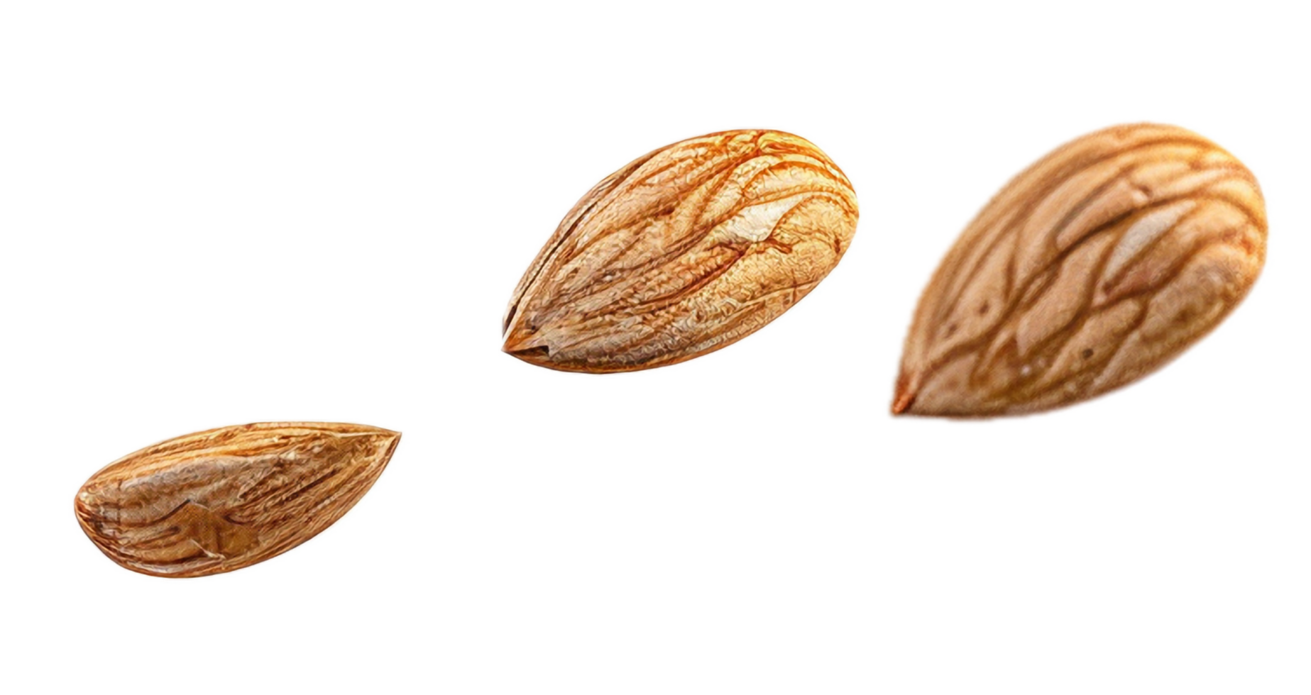 AI generated Almond Nuts Floating png