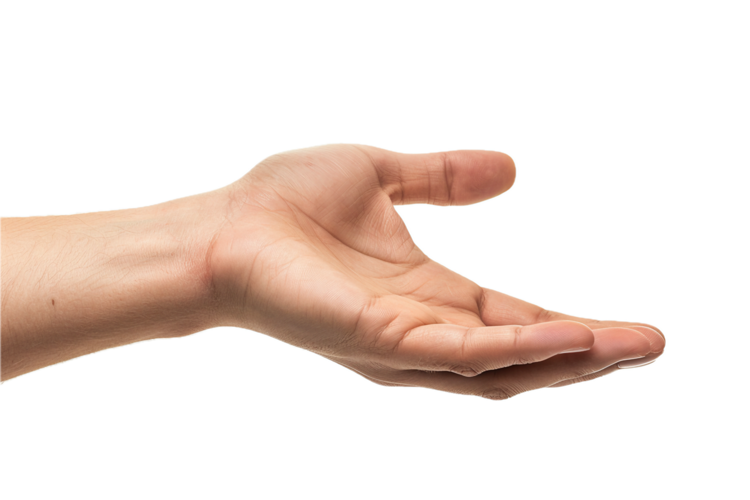 AI generated Open Human Hand png
