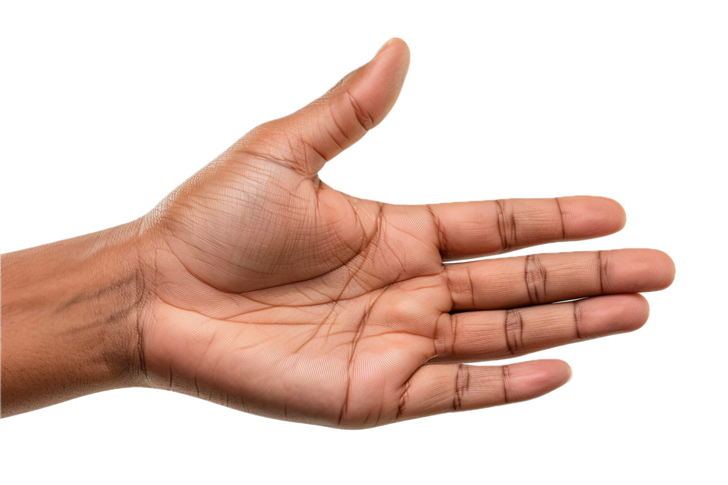 AI generated Open Human Hand png