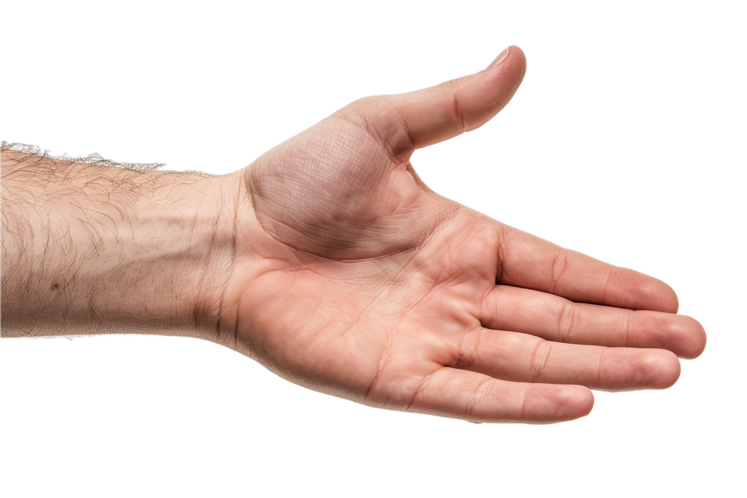 AI generated Open Human Hand png