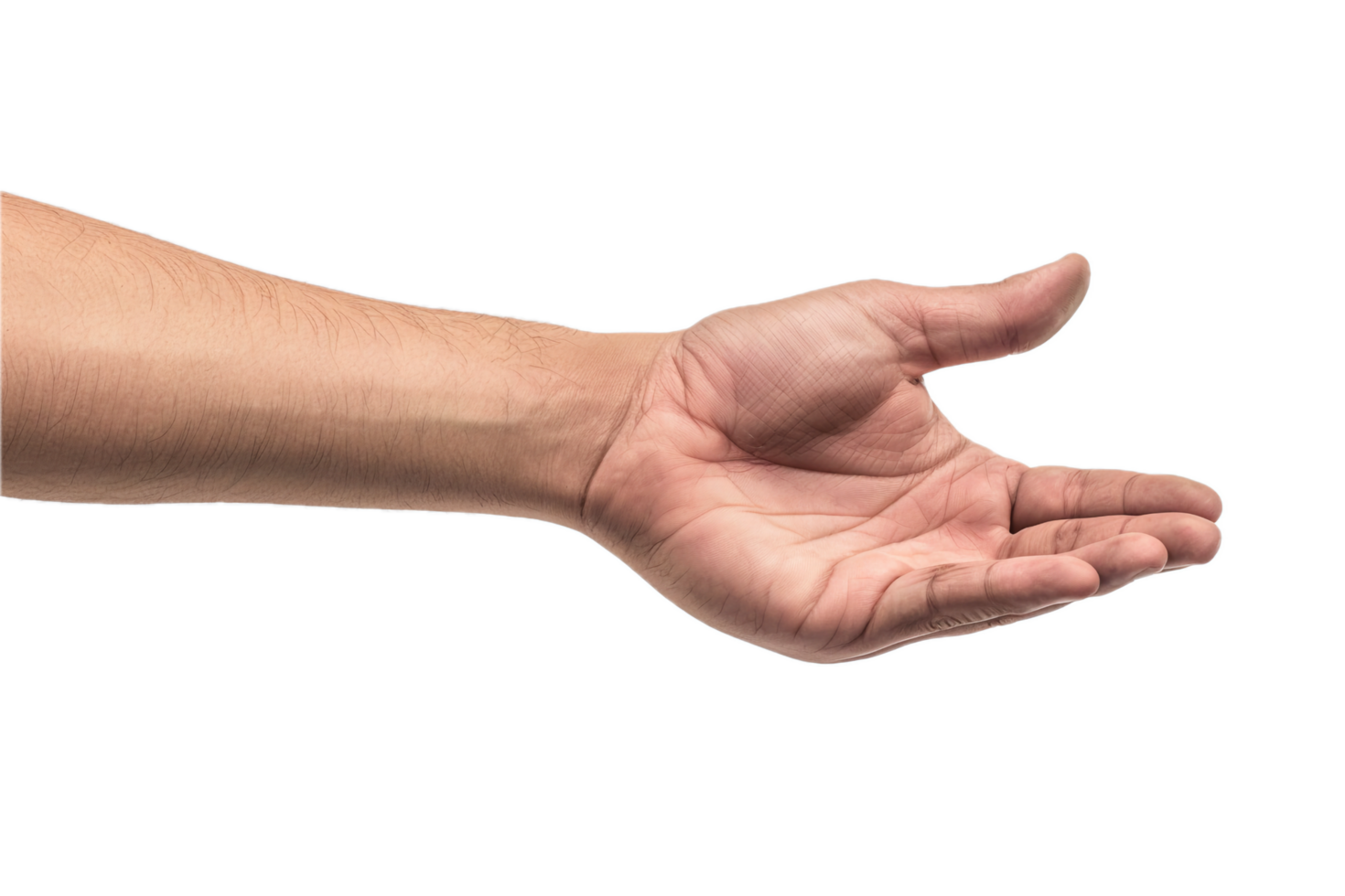 AI generated Open Human Hand png