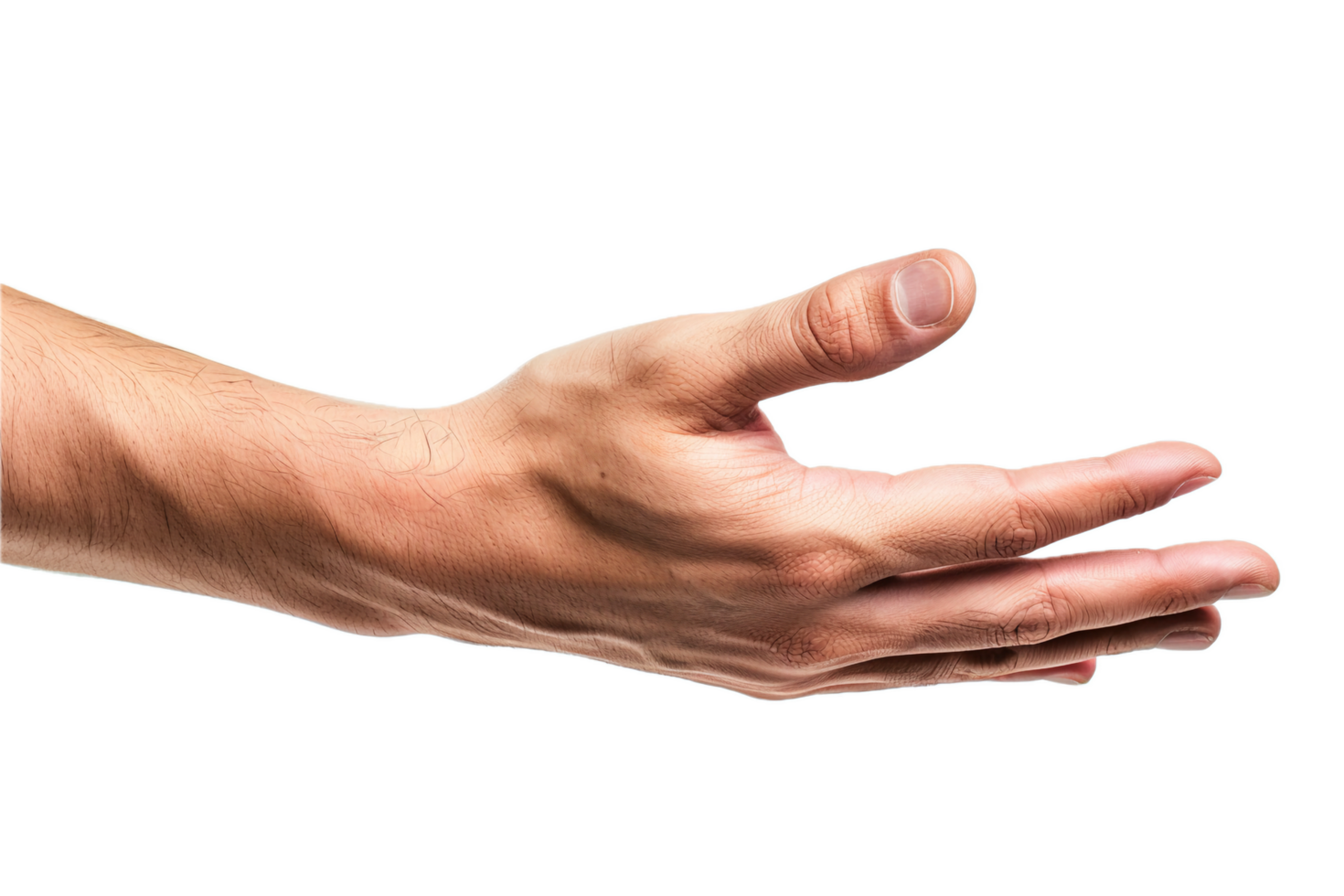 AI generated Open Human Hand png