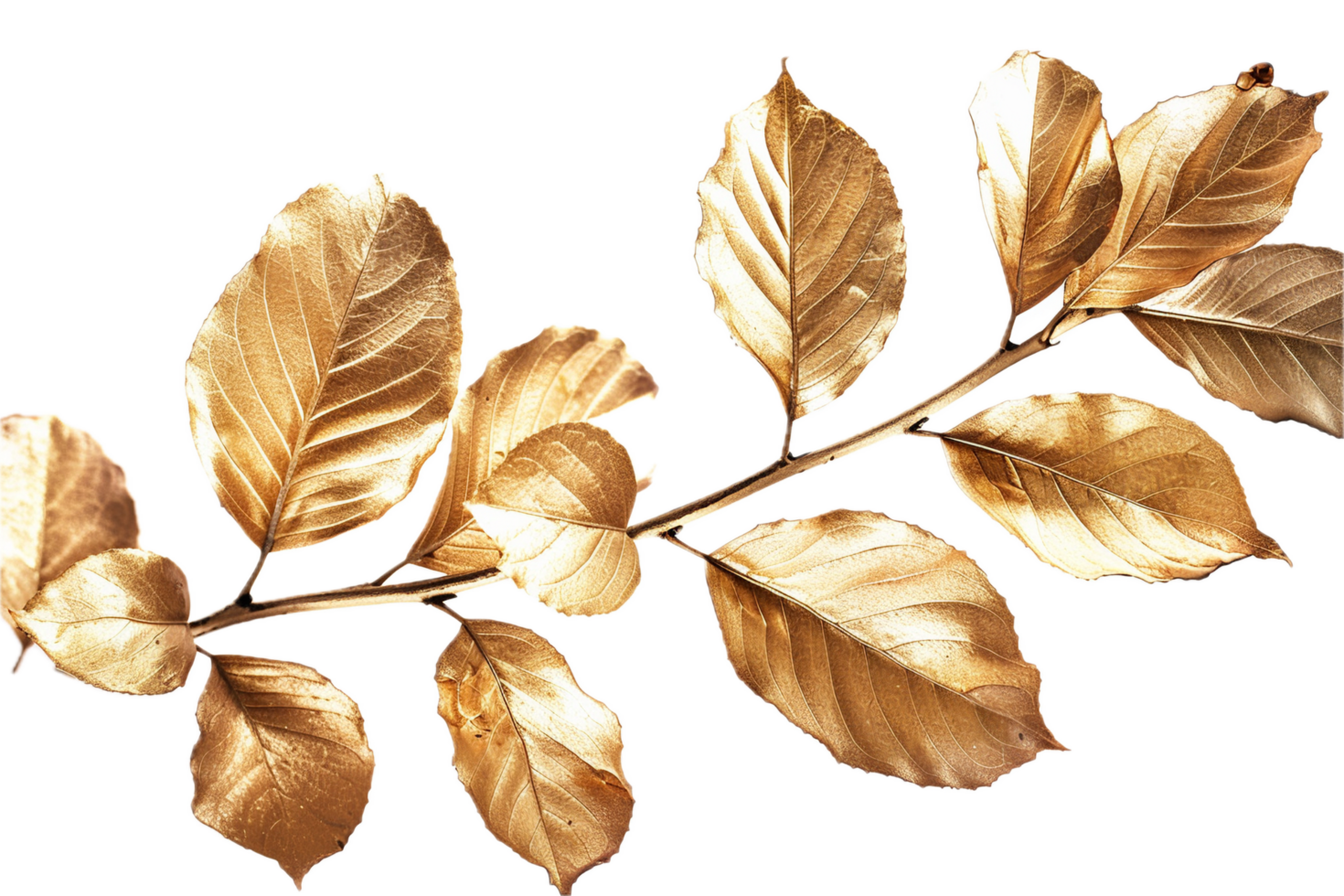 AI generated Golden Leaf Branch png