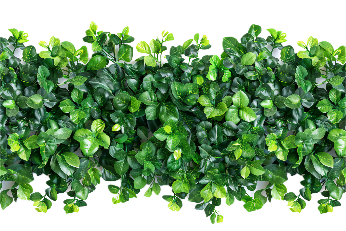 AI generated Lush Green Leaf Hedge png