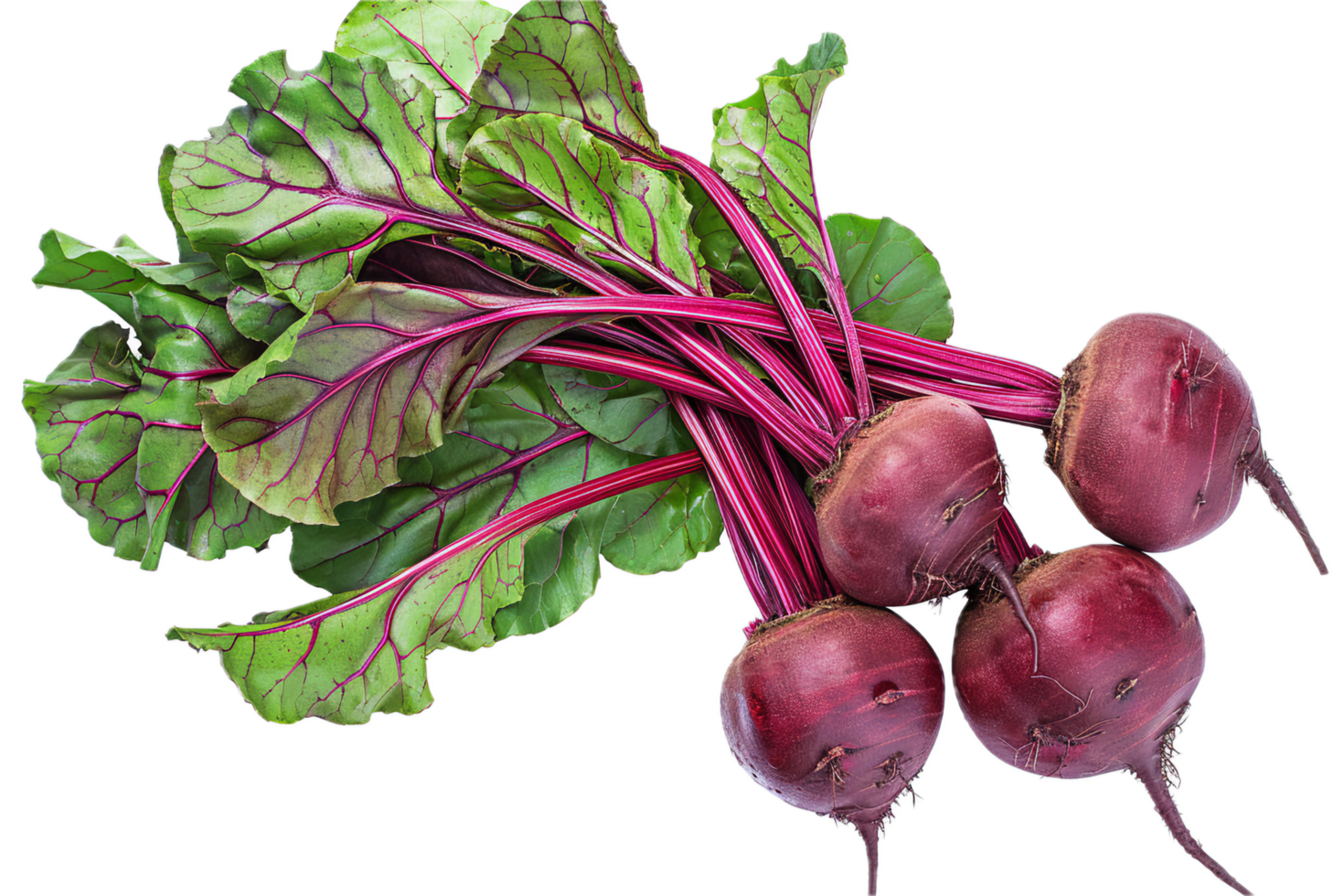 AI generated Fresh Beetroots with Leaves png 42654757 PNG