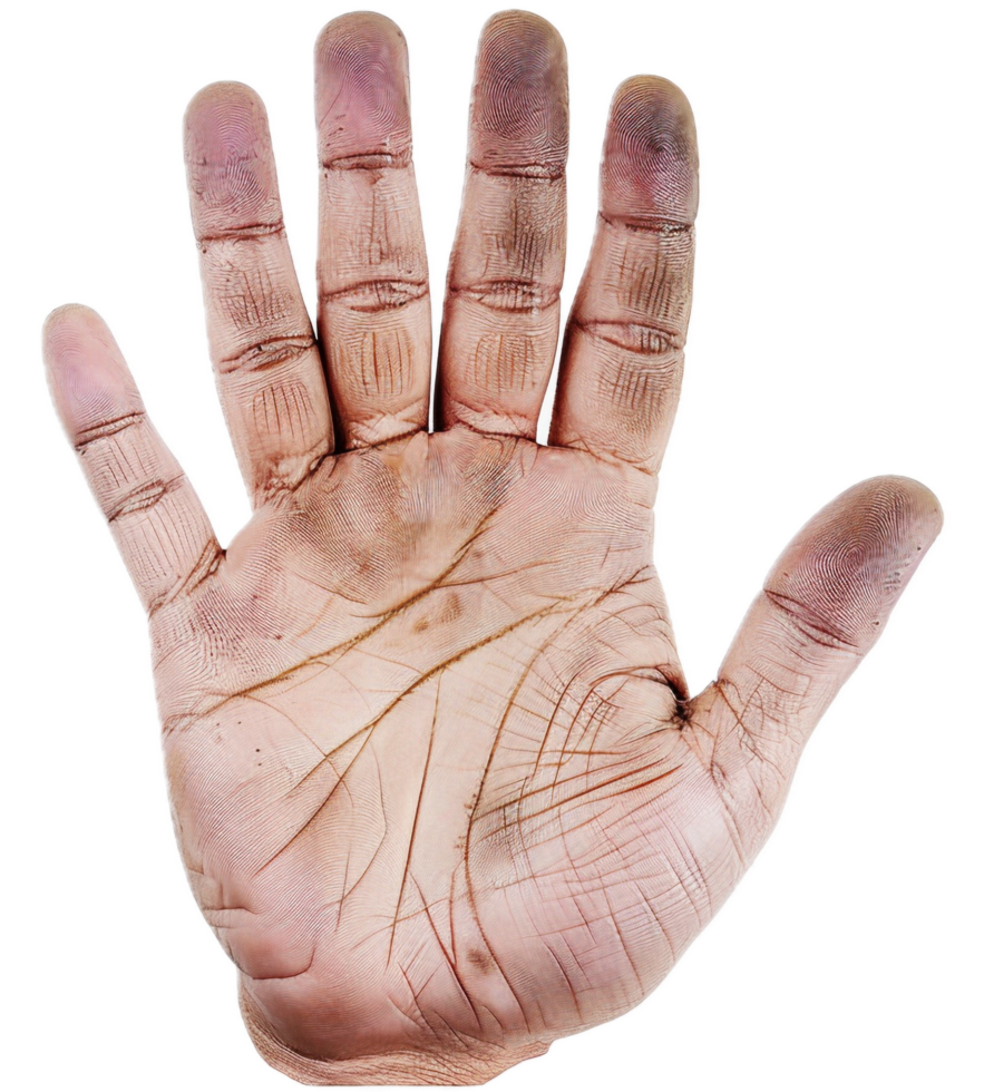 AI generated Detailed Human Palm Showing Lines and Textures png