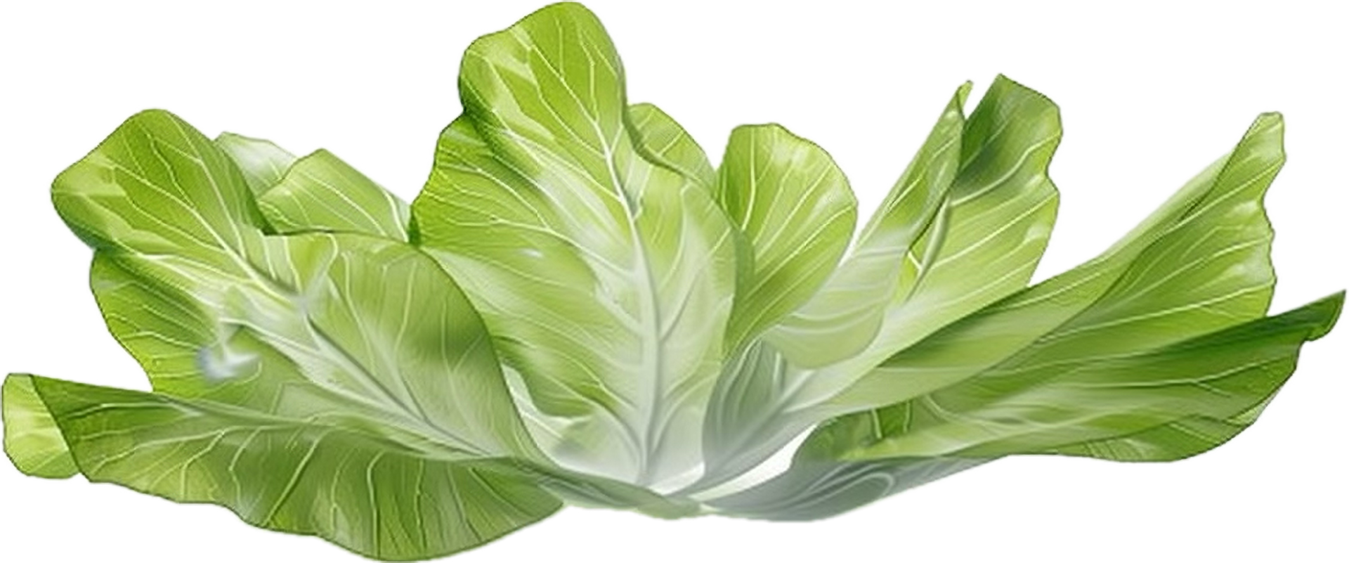 AI generated Fresh Bok Choy Leafy Green Vegetable png 42655114 PNG