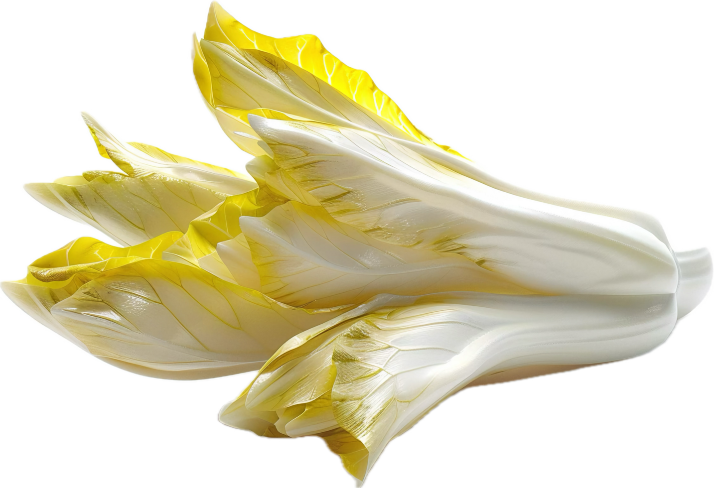 AI generated Fresh Bok Choy Leafy Green Vegetable png 42655128 PNG