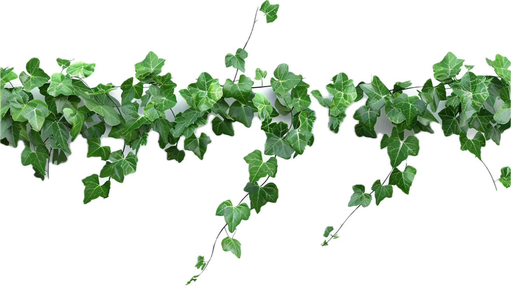 AI generated Lush Green Pothos Plant Leaves png