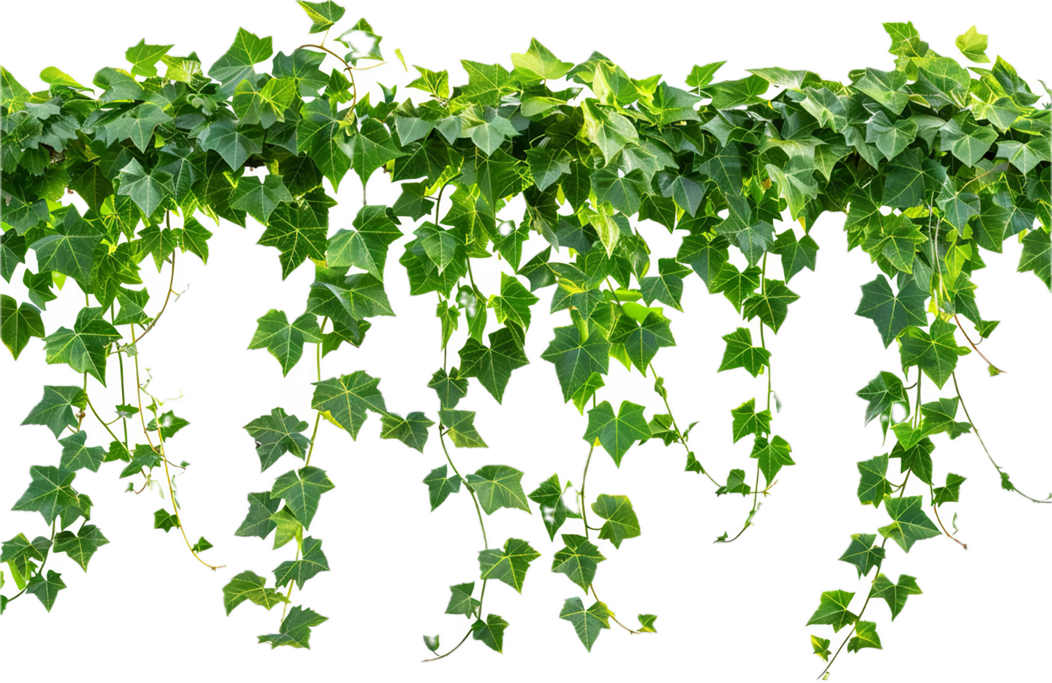 AI generated Lush Green Pothos Plant Leaves png